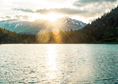 Vitamin D, an immune system modulator